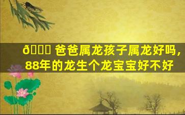 🍁 爸爸属龙孩子属龙好吗,88年的龙生个龙宝宝好不好